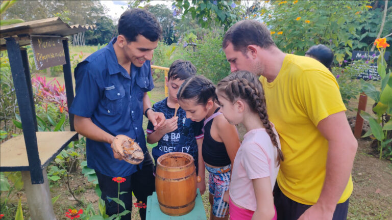 Stingless Bee Tour Healing Honey Tasting (2)