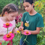 meliponary tour in costa rica arenal bee garden